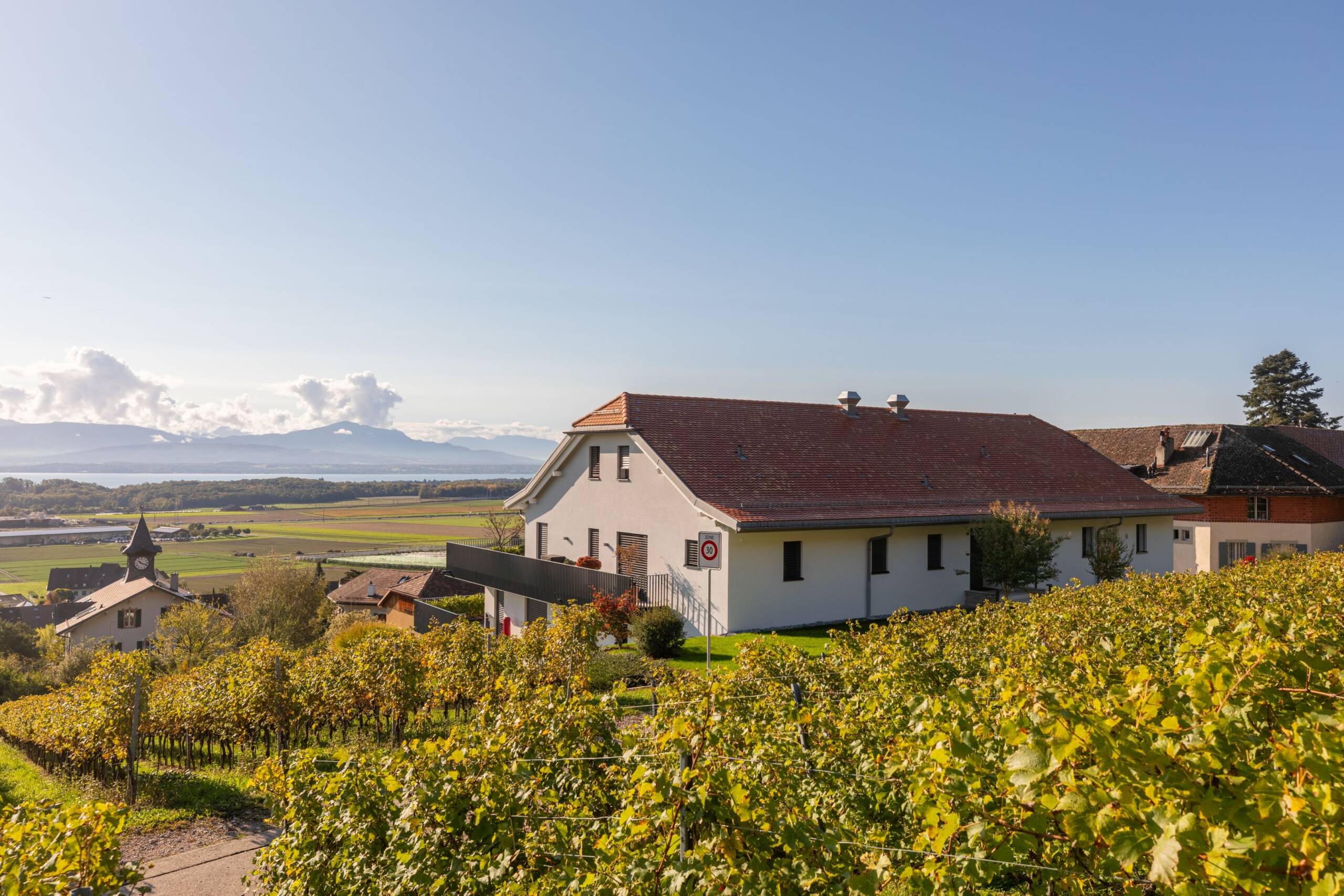 Vinzel – Les Blanches Vignes